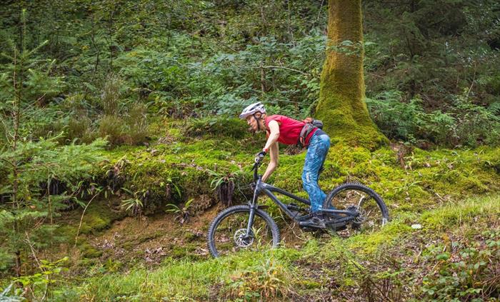 Mountain biking in Abergorlech, Brechfa Forest